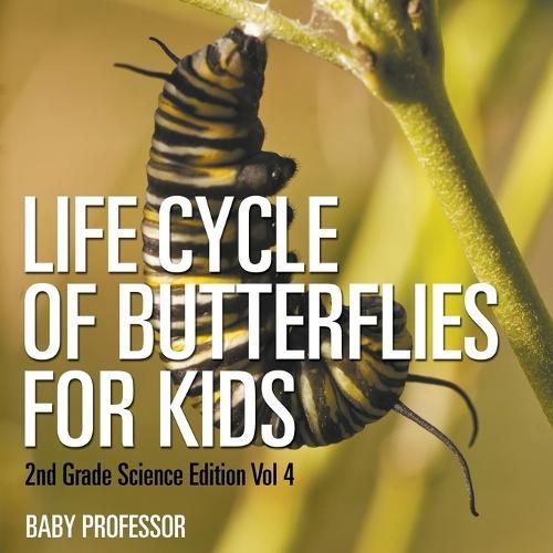Cover image for Life Cycle Of Butterflies for Kids 2nd Grade Science Edition Vol 4