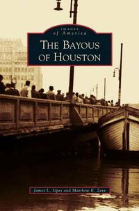 Cover image for Bayous of Houston