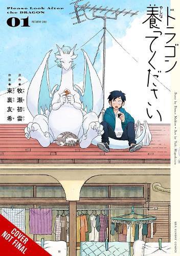 Cover image for Please Look After the Dragon, Vol. 1