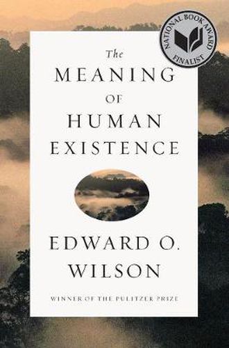 Cover image for The Meaning of Human Existence