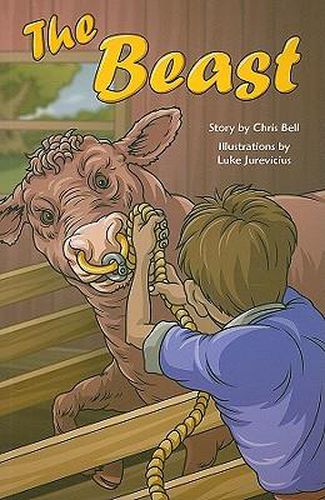 Cover image for The Beast: Individual Student Edition Ruby (Levels 27-28)