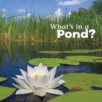 Cover image for What's in a Pond?