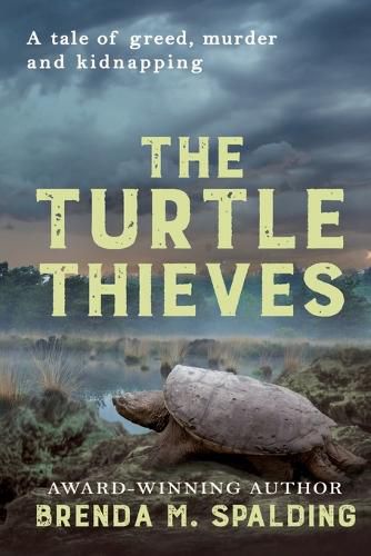 Cover image for The Turtle Thieves