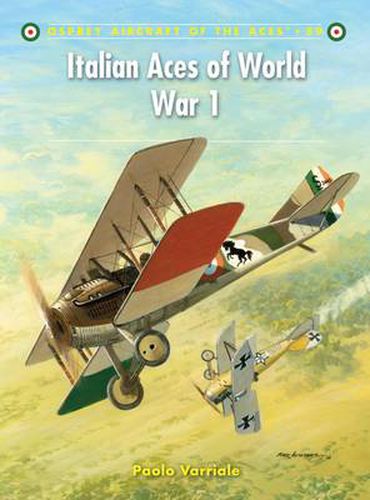 Cover image for Italian Aces of World War 1