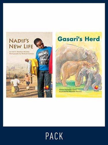 Cover image for Flying Start Guided Reading Level 16, Pack 4: Paired student books (6x6) and lesson plan (1)