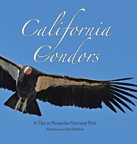 Cover image for California Condors: A Day at Pinnacles National Park