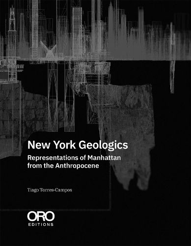 Cover image for New York Geologics