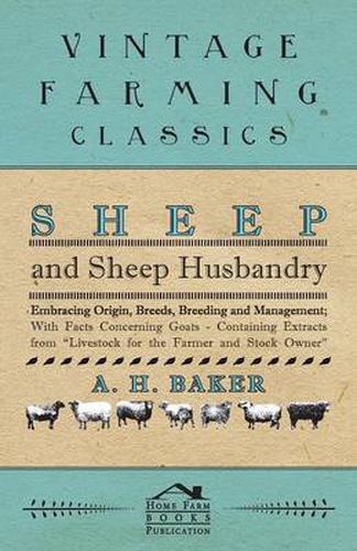 Cover image for Sheep and Sheep Husbandry - Embracing Origin, Breeds, Breeding and Management; With Facts Concerning Goats - Containing Extracts from Livestock for the Farmer and Stock Owner