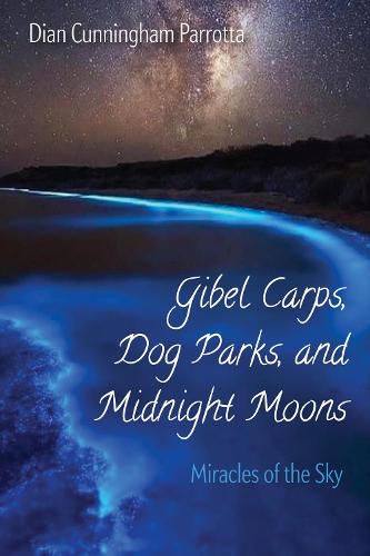 Cover image for Gibel Carps, Dog Parks, and Midnight Moons: Miracles of the Sky