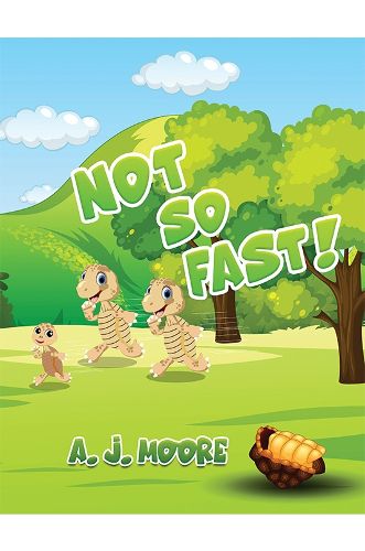 Cover image for Not So Fast!