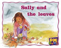 Cover image for Sally and the Leaves