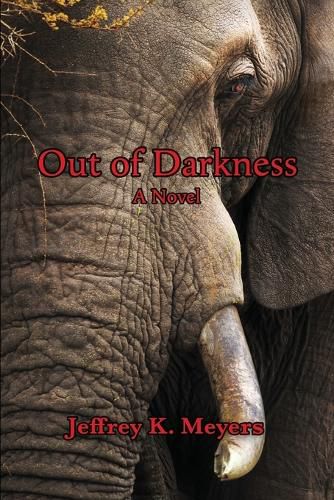 Cover image for Out of Darkness