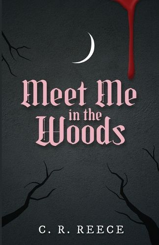 Cover image for Meet Me in the Woods