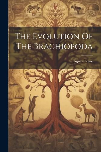 Cover image for The Evolution Of The Brachiopoda