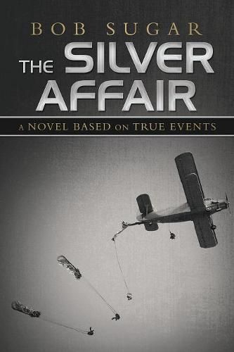 Cover image for The Silver Affair