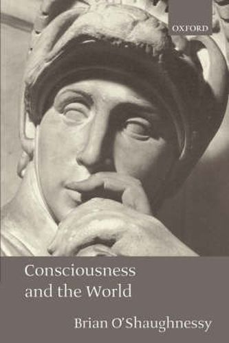 Cover image for Consciousness and the World