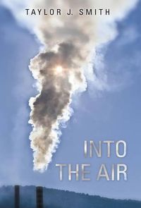 Cover image for Into the Air