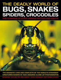 Cover image for The Deadly World of Bugs, Snakes, Spiders, Crocodiles and Hundreds of Other Amazing Reptiles and Insects: Discover the Amazing World of Reptiles and Bugs, Featuring More Than 1500 Fabulous Wildlife Photographs and Illustrations