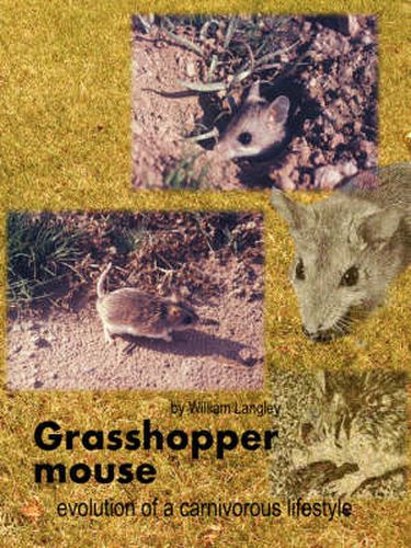 Cover image for Grasshopper Mouse: Evolution of a Carnivorous Life Style