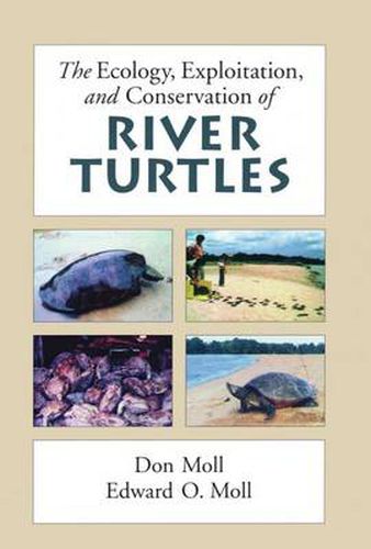 Cover image for The Ecology, Exploitation and Conservation of River Turtles