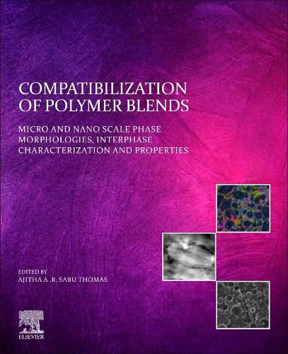 Cover image for Compatibilization of Polymer Blends: Micro and Nano Scale Phase Morphologies, Interphase Characterization, and Properties