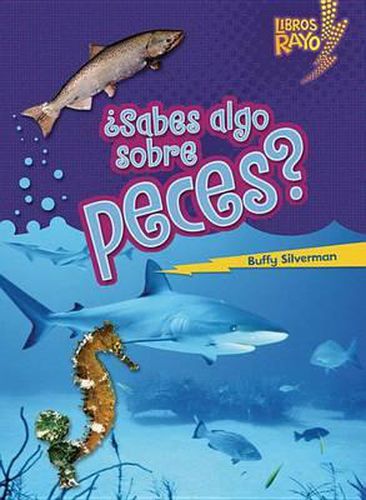 Cover image for ?Sabes Algo Sobre Peces? (Do You Know about Fish?)