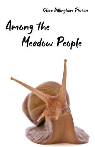 Cover image for Among the Meadow People