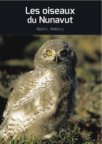 Cover image for Les oiseaux du Nunavut