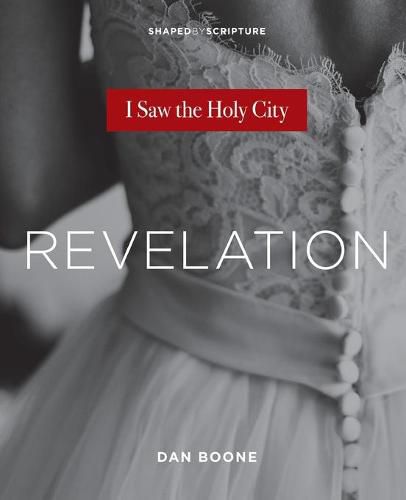 Cover image for Revelation: I Saw the Holy City