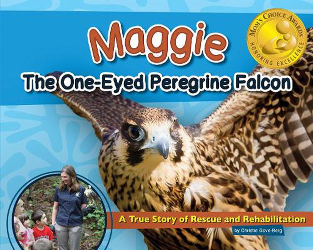 Cover image for Maggie the One-Eyed Peregrine Falcon: A True Story of Rescue and Rehabilitation