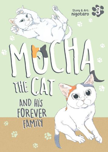 Cover image for Mocha the Cat and His Forever Family Vol. 3