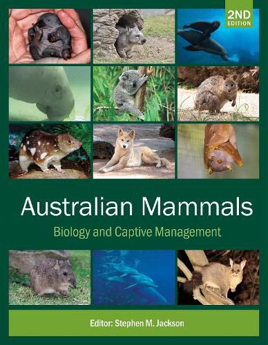 Cover image for Australian Mammals