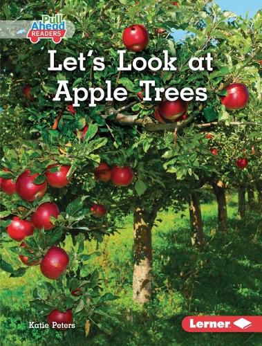 Cover image for Let's Look at Apple Trees