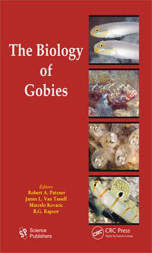 Cover image for The Biology of Gobies