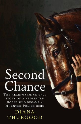 Cover image for Second Chance