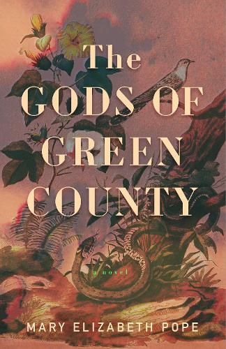 Cover image for The Gods of Green County: A Novel