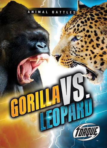 Gorilla VS Leopard