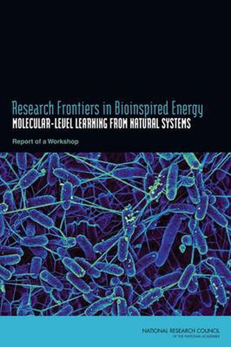 Research Frontiers in Bioinspired Energy: Molecular-Level Learning from Natural Systems: A Workshop