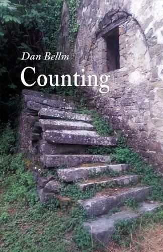 Cover image for Counting