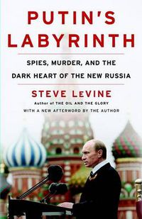 Cover image for Putin's Labyrinth: Spies, Murder, and the Dark Heart of the New Russia