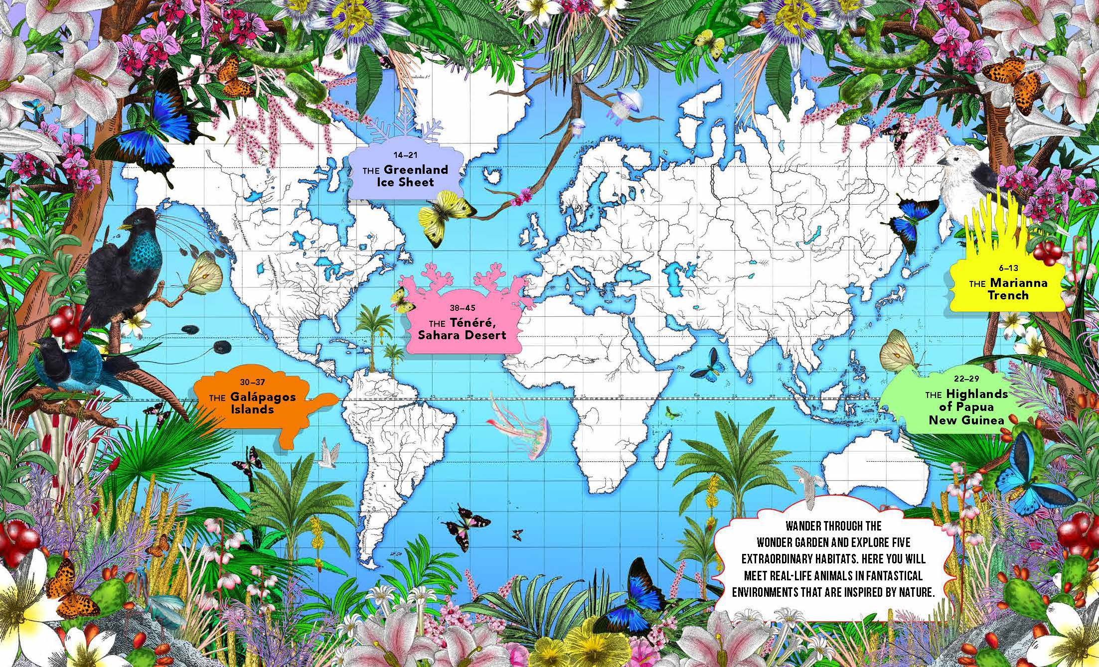 The Fantastical Safari