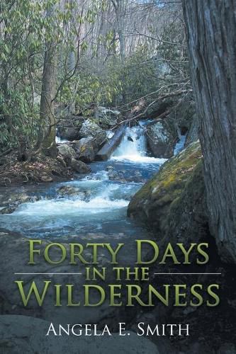 Cover image for Forty Days in the Wilderness