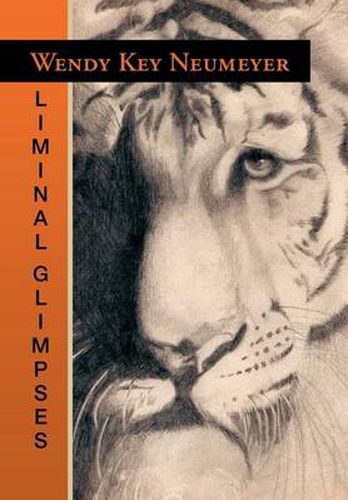 Cover image for Liminal Glimpses