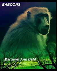 Cover image for Baboons