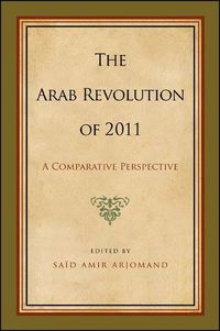 Cover image for The Arab Revolution of 2011: A Comparative Perspective