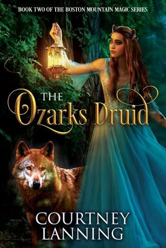 Cover image for The Ozarks Druid