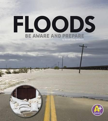 Cover image for Floods