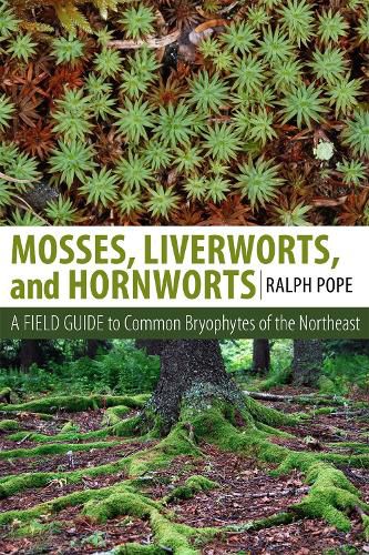 Cover image for Mosses, Liverworts, and Hornworts: A Field Guide to the Common Bryophytes of the Northeast