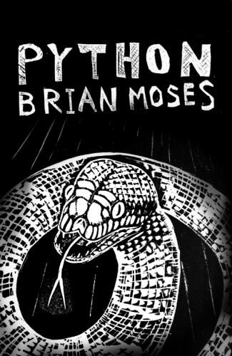 Cover image for Python