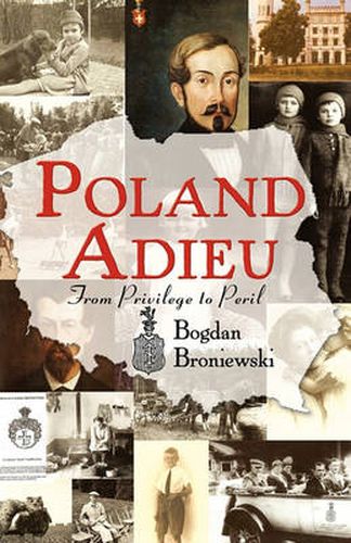 Cover image for Poland Adieu